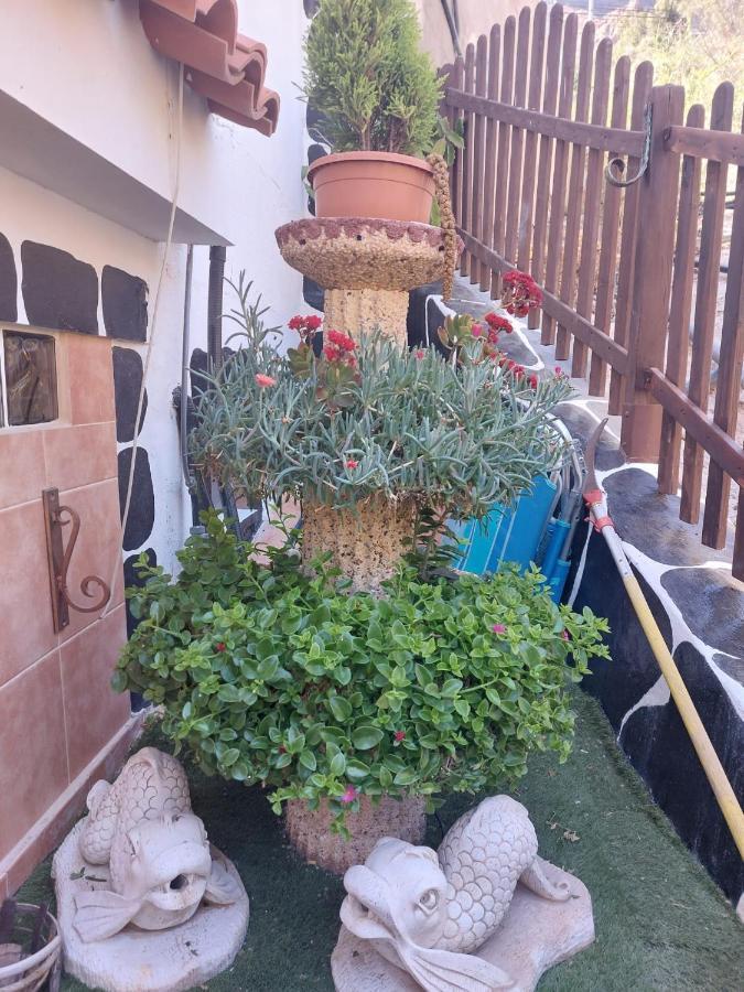 El Palmito 2 Apartment Mogán Екстериор снимка